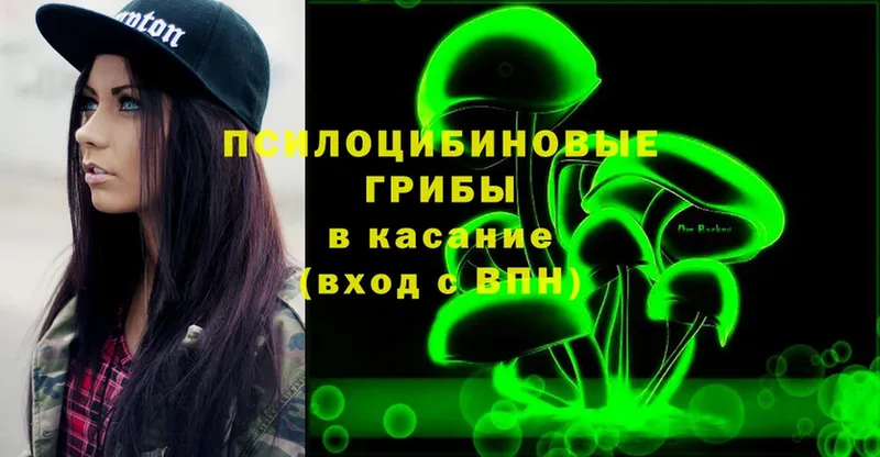 Галлюциногенные грибы Magic Shrooms  купить наркотик  ОМГ ОМГ ССЫЛКА  Красноперекопск 